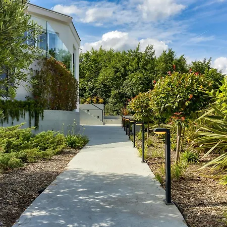 Villa New In 2024 Lina *